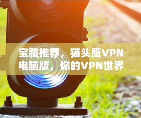 宝藏推荐,猫头鹰VPN电脑版,你的VPN世界必备! 宝藏推荐,猫头鹰VPN电脑版,你的VPN世界必备!
