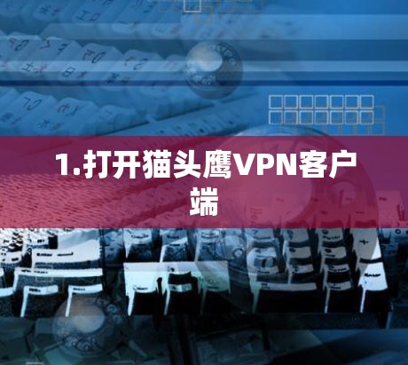 1.打开猫头鹰VPN客户端 1.打开猫头鹰VPN客户端