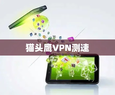 猫头鹰VPN测速 猫头鹰VPN测速
