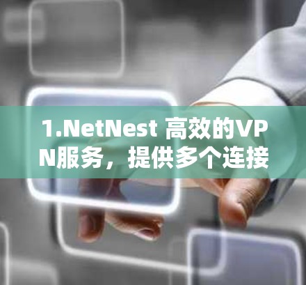1.NetNest 高效的VPN服务,提供多个连接和安全的加密连接 1.NetNest 高效的VPN服务,提供多个连接和安全的加密连接