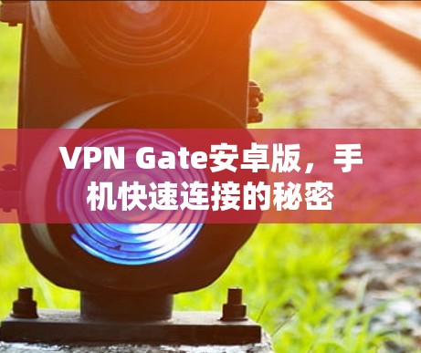 VPN Gate安卓版,手机快速连接的秘密 VPN Gate安卓版,手机快速连接的秘密