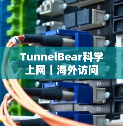 TunnelBear科学上网｜海外访问