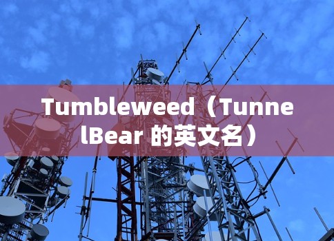 Tumbleweed(TunnelBear 的英文名) Tumbleweed(TunnelBear 的英文名)