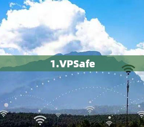 1.VPSafe 1.VPSafe