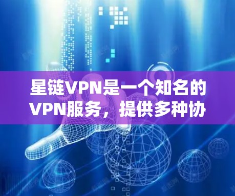 星链VPN是一个知名的VPN服务，提供多种协议，如VPN、DDoS防护、安全检测等，用户可以根据自己的需求选择适合的方案。以下是星链VPN的详细信息