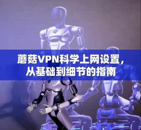蘑菇VPN科学上网设置，从基础到细节的指南