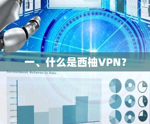 一、什么是西柚VPN？