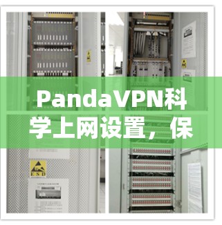 PandaVPN科学上网设置，保护您的网络隐私与安全指南