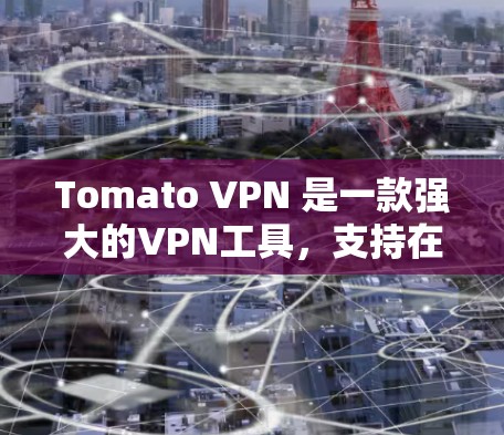 Tomato VPN 是一款强大的VPN工具，支持在电脑上使用。以下是使用 Tomato VPN 的步骤