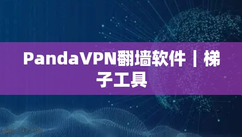 PandaVPN翻墙软件｜梯子工具