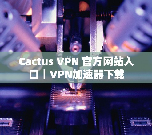 Cactus VPN 官方网站入口｜VPN加速器下载