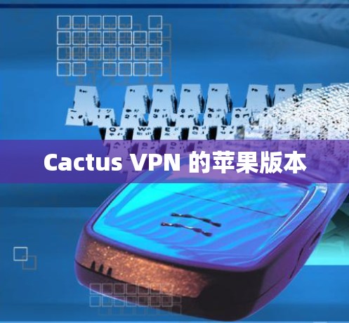 Cactus VPN 的苹果版本