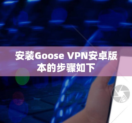 安装Goose VPN安卓版本的步骤如下