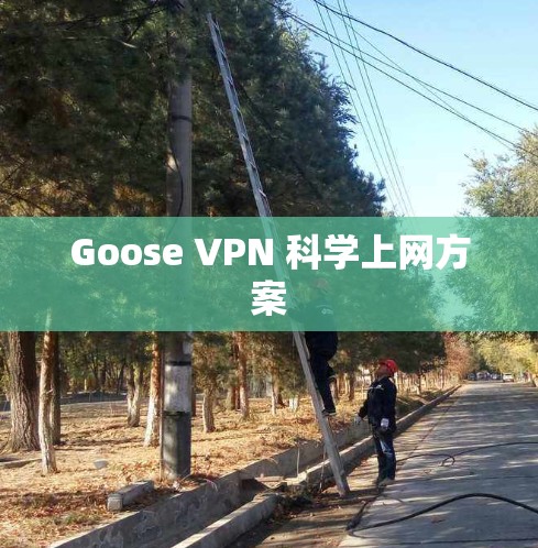 Goose VPN 科学上网方案