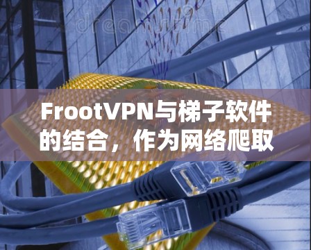 FrootVPN与梯子软件的结合，作为网络爬取和下载资源的工具，确实为用户提供了一个灵活的网络访问方式。以下是详细的使用指南