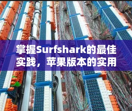 掌握Surfshark的最佳实践，苹果版本的实用指南