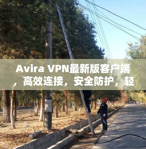 Avira VPN最新版客户端，高效连接，安全防护，轻松连接世界