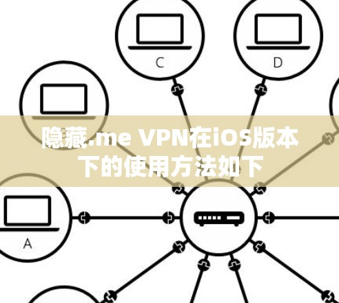 隐藏.me VPN在iOS版本下的使用方法如下