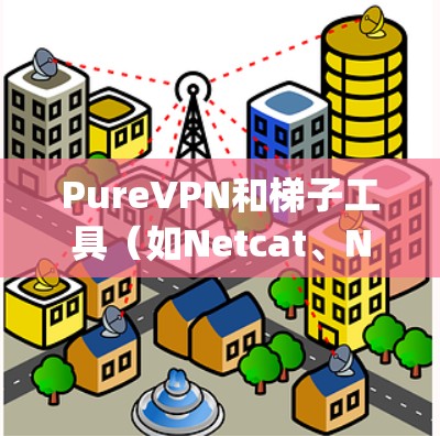 PureVPN和梯子工具（如Netcat、Netcat Pro、OpenVPN等）是用于VPN和翻墙的工具。以下是关于PureVPN和梯子工具的一些关键信息