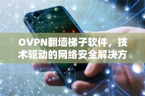 OVPN翻墙梯子软件，技术驱动的网络安全解决方案
