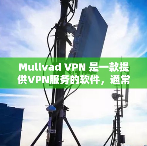 Mullvad VPN 是一款提供VPN服务的软件，通常用于VPN连接。虽然 Mullvad VPN 本身没有内置的翻墙功能，但它可能通过某些额外的工具或插件实现翻墙。以下是一些可能的解释和步骤