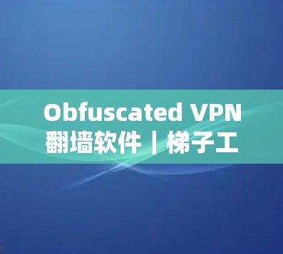Obfuscated VPN翻墙软件|梯子工具 Obfuscated VPN翻墙软件|梯子工具
