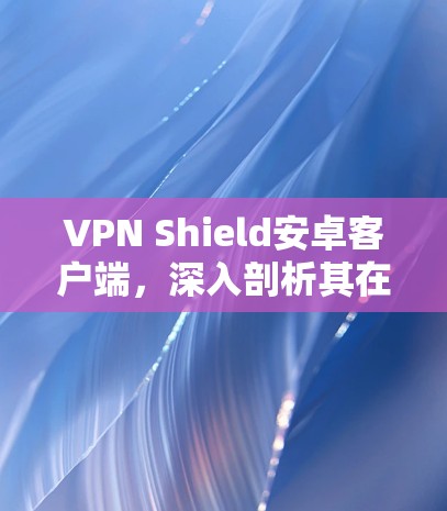 VPN Shield安卓客户端，深入剖析其在通信领域的潜力与挑战
