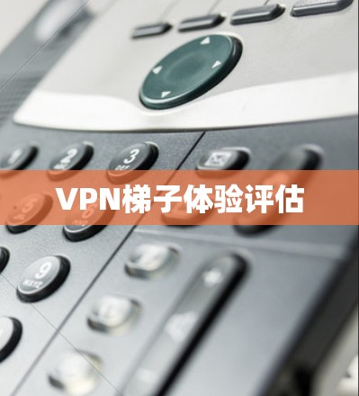 VPN梯子体验评估