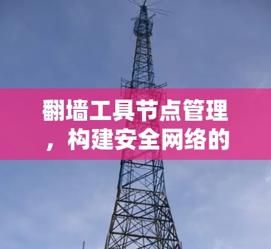 翻墙工具节点管理，构建安全网络的必由之路