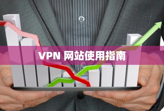 VPN 网站使用指南