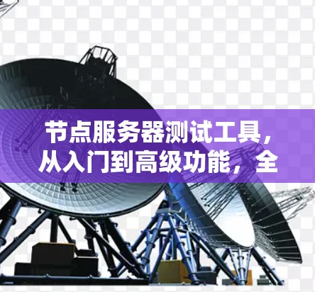 节点服务器测试工具，从入门到高级功能，全面解析