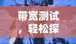 带宽测试，轻松探索VPN世界—免费VPN测试客户端概述