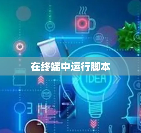 在终端中运行脚本