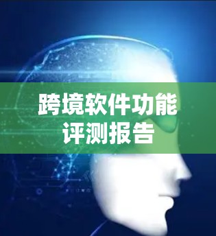跨境软件功能评测报告