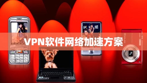 VPN软件网络加速方案