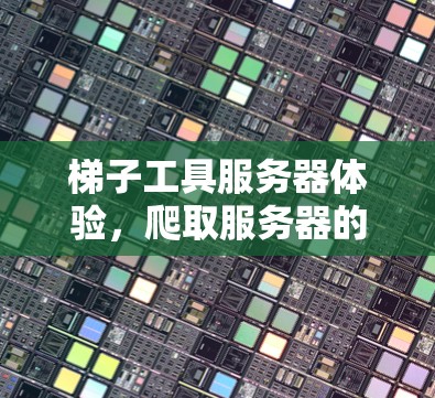 梯子工具服务器体验，爬取服务器的挑战与优化