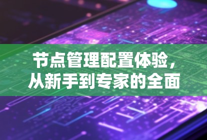 节点管理配置体验，从新手到专家的全面解析