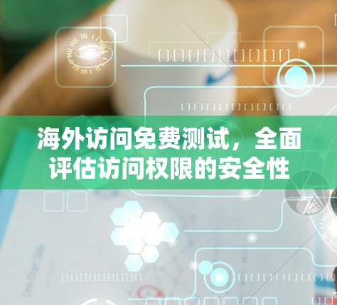 海外访问免费测试,全面评估访问权限的安全性 海外访问免费测试,全面评估访问权限的安全性
