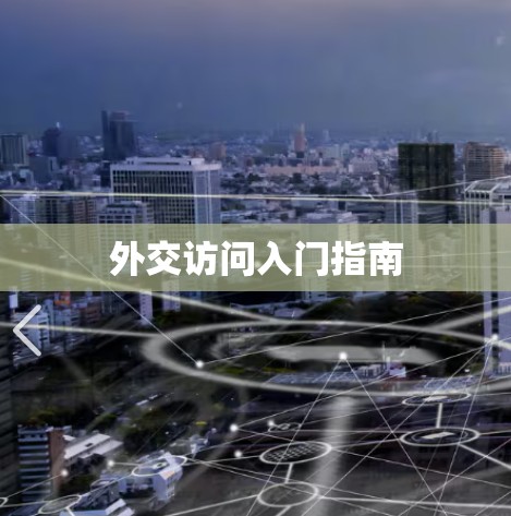 外交访问入门指南