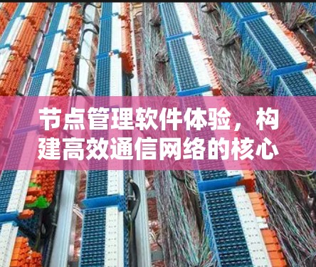 节点管理软件体验，构建高效通信网络的核心保障