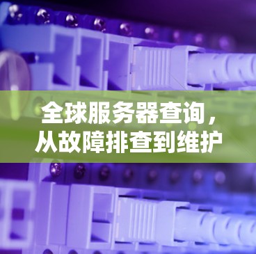 全球服务器查询，从故障排查到维护优化