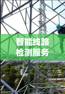智能线路检测服务是现代电力系统和工业领域的高科技技术，旨在通过智能设备和数据分析，实时监控和检测线路中的潜在问题，从而预防设备故障和设备损坏，延长线路寿命。以下是对智能线路检测服务的详细分析和总结