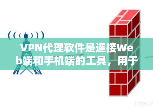 VPN代理软件是连接Web端和手机端的工具，用于在线访问和下载VPN服务。以下是针对VPN代理软件的全面评测