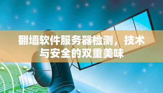 翻墙软件服务器检测，技术与安全的双重美味