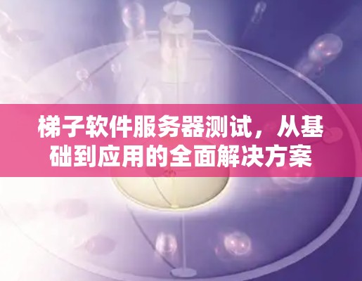 梯子软件服务器测试，从基础到应用的全面解决方案