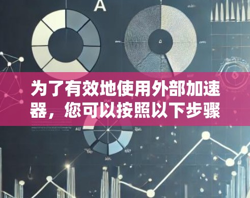 为了有效地使用外部加速器，您可以按照以下步骤进行系统性的学习和实践