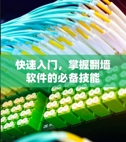 快速入门，掌握翻墙软件的必备技能