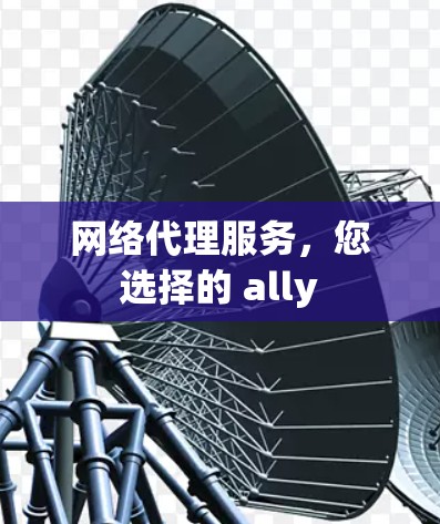 网络代理服务，您选择的 ally