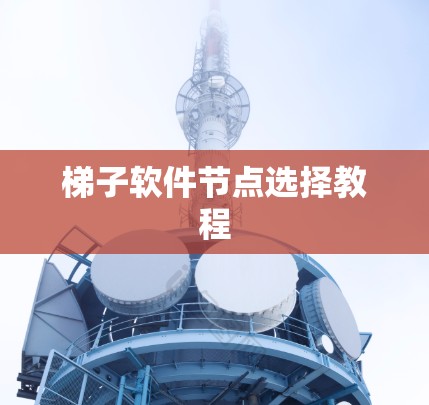 梯子软件节点选择教程