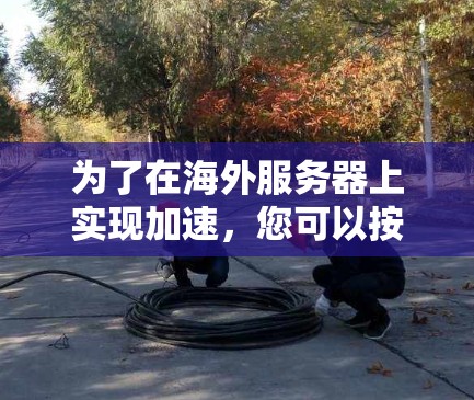 为了在海外服务器上实现加速，您可以按照以下步骤进行